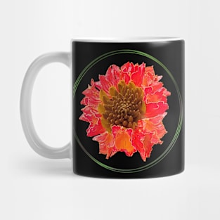 Flower of an African Tulpiatree in Kenya / Afrika Mug